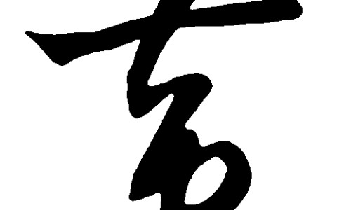 海南黄花梨的功效与作用网 | 海南黄花梨的功效与作用价格,海南黄花梨的功效与作用长期佩戴