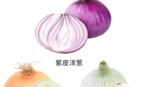 海南黄花梨的功效与作用网 | 海南黄花梨的功效与作用价格,海南黄花梨的功效与作用长期佩戴